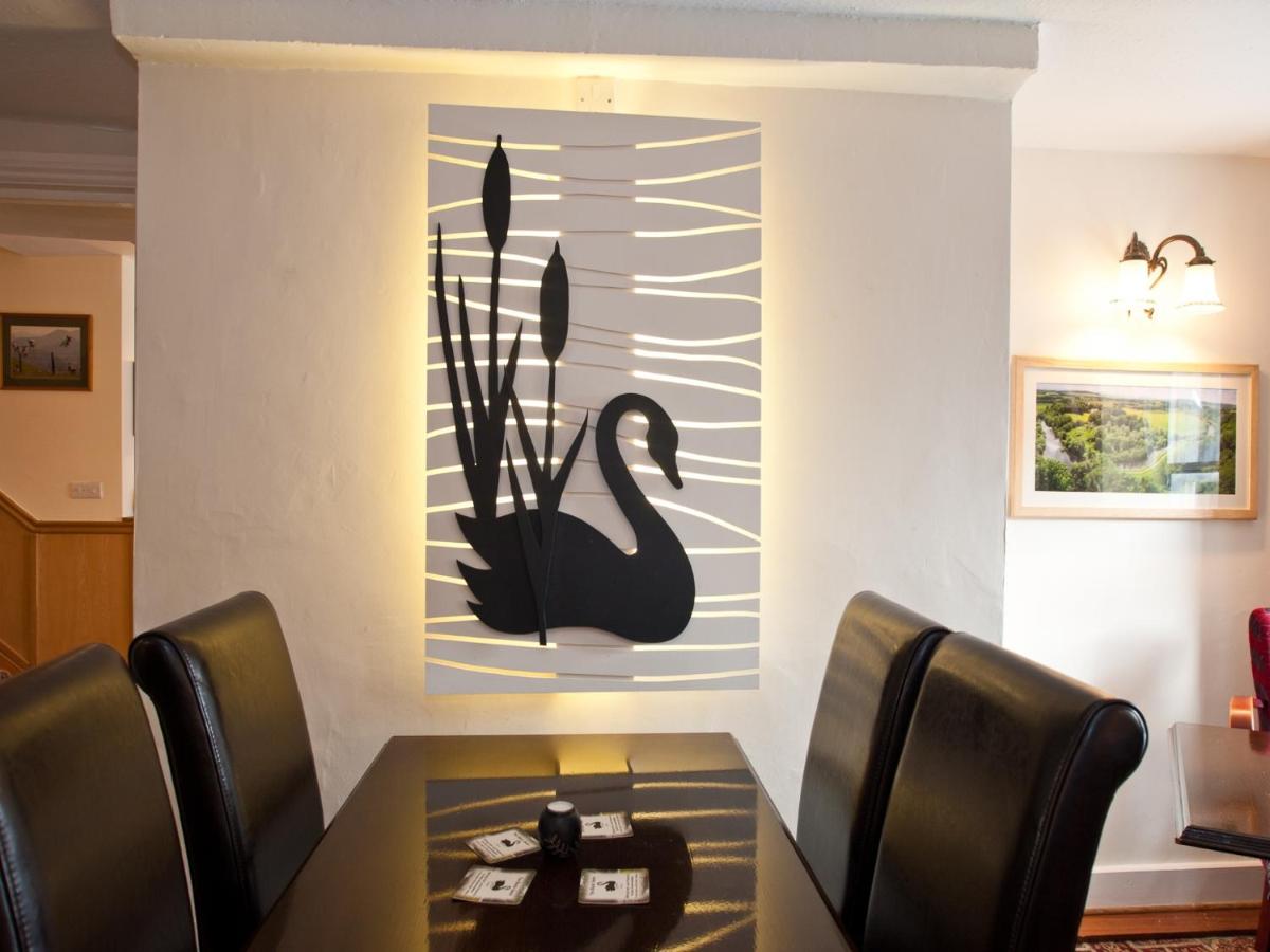 Black Swan - Laterooms
