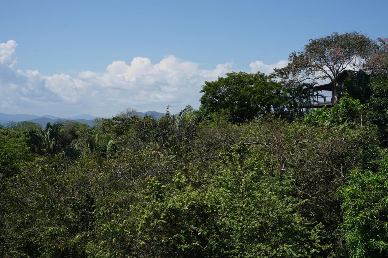 Calamocha Lodge photo