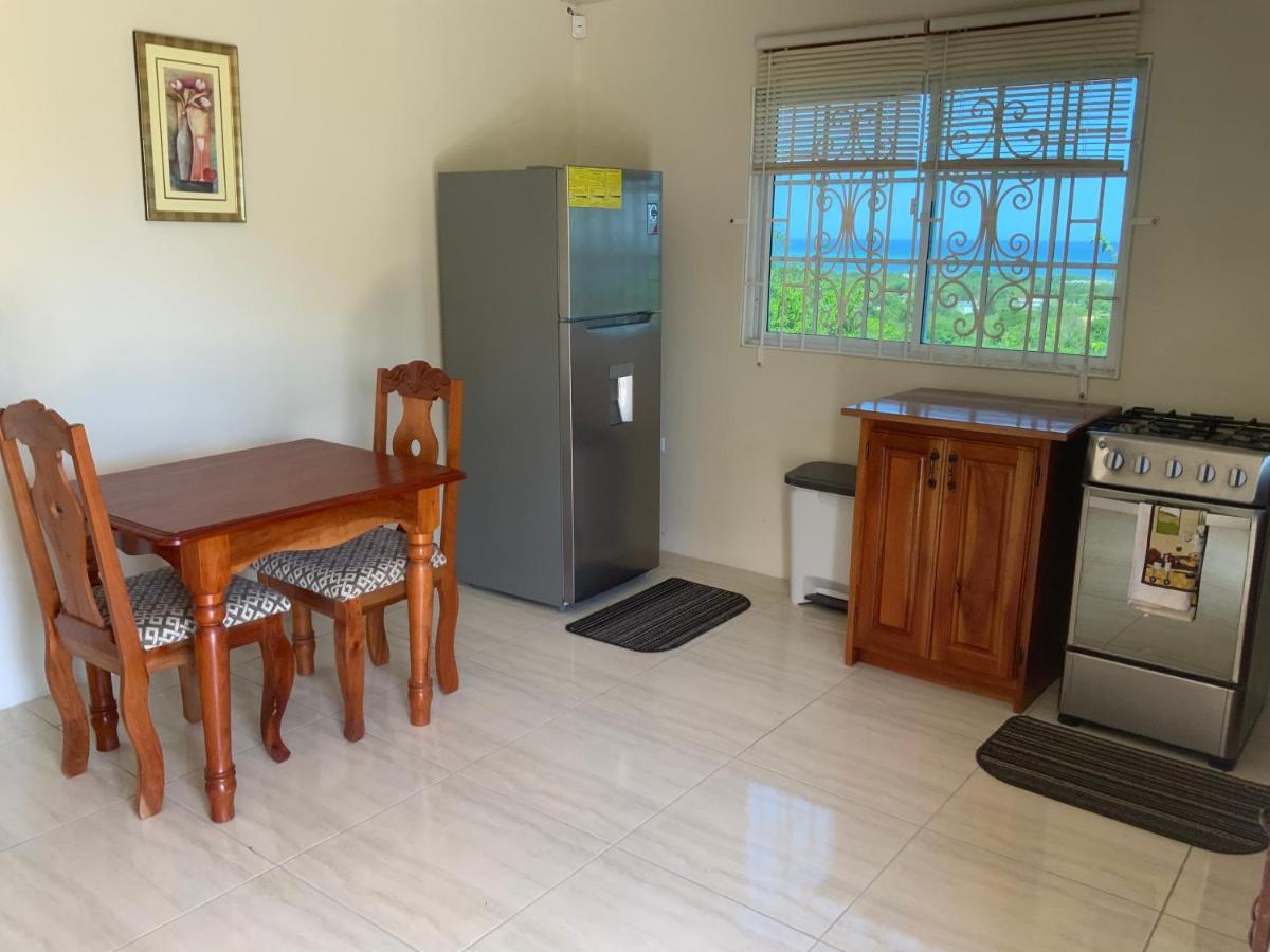 POINCIANA APARTMENT ONE 257 POINCIANA DRIVE GREEN WOOD MONTEGO BAY JAMAICA - 2