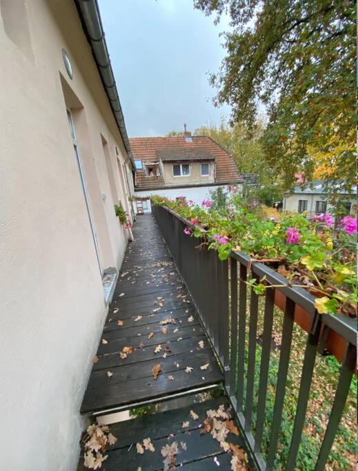 Nice and comfortable studio in Pankow - 5