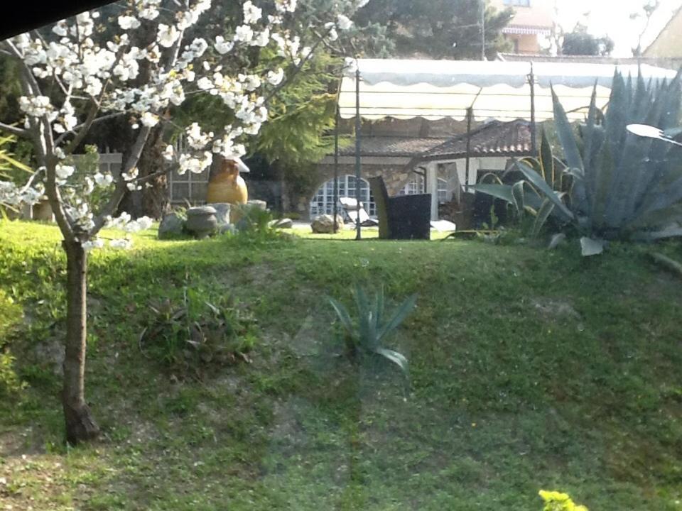 Villa Ghirardelli photo