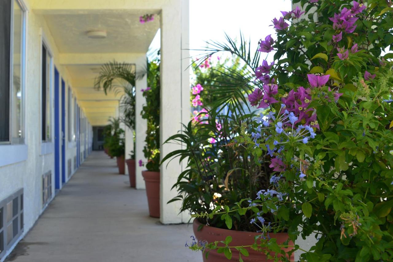 Americas Best Value Inn Bradenton-Sarasota — photo 11