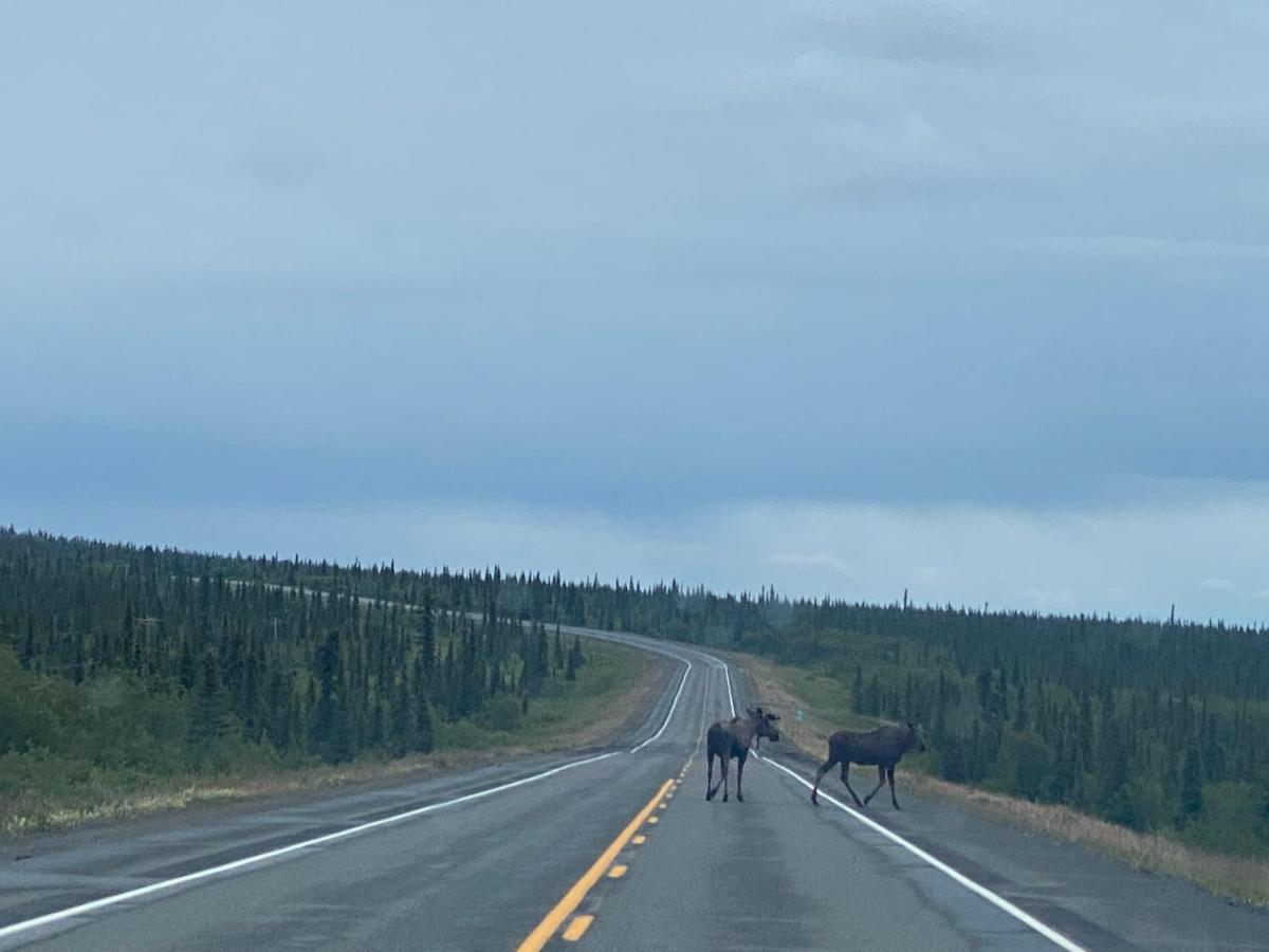 Tolsona Lake Lodge — photo 15