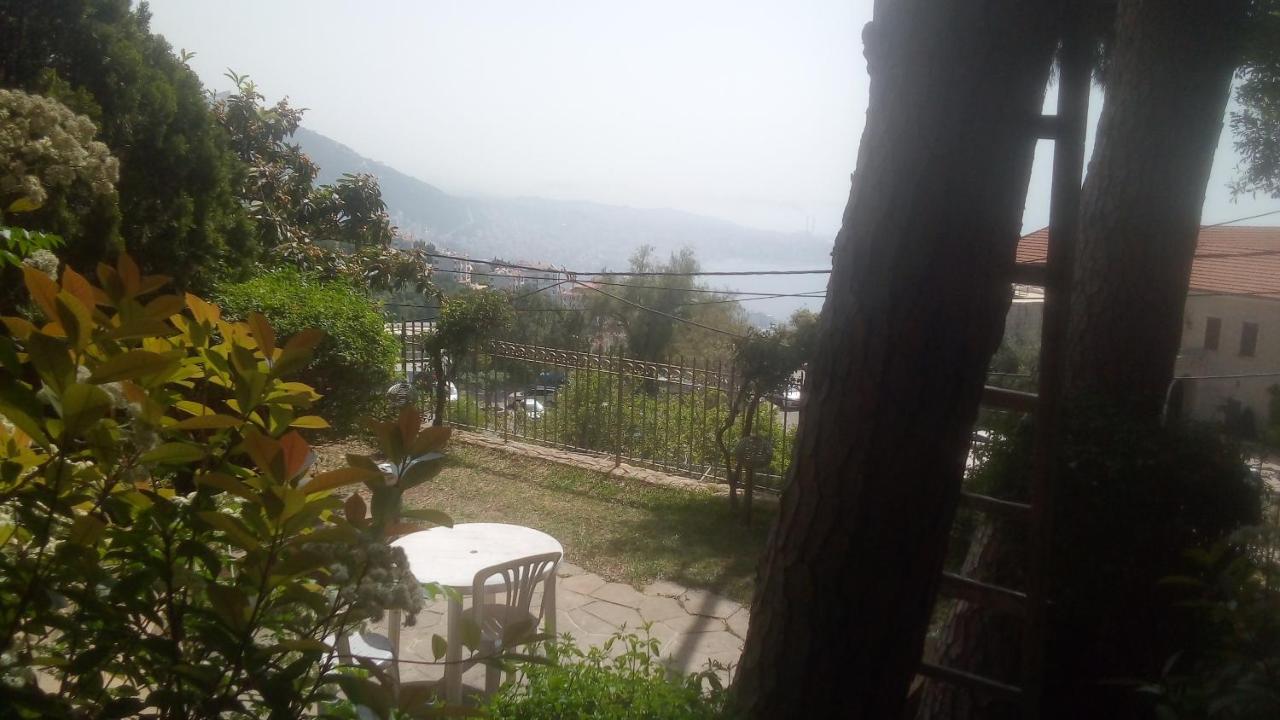 Beit Wadih photo