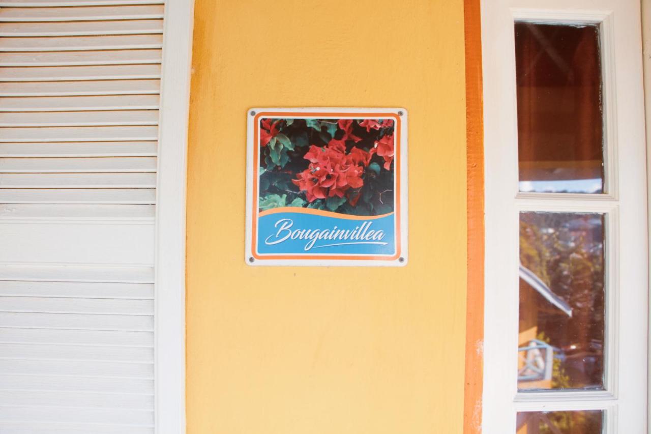 Buttercup Cottage Apartments - 2