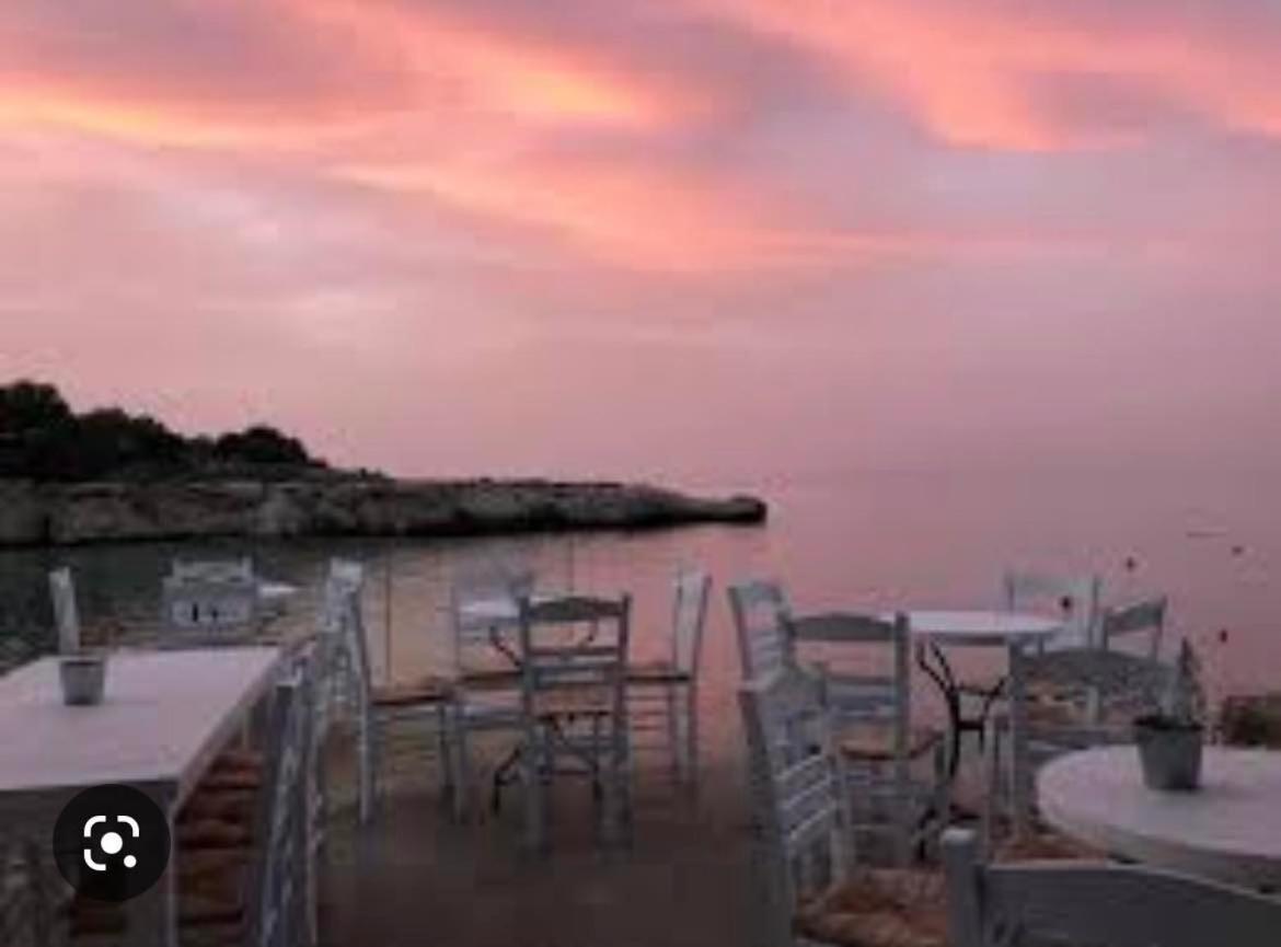 Odessa Beach Hotel photo