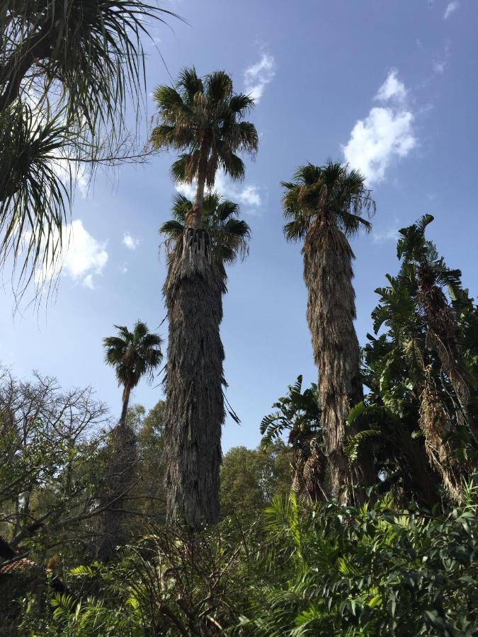 Residence le Palme Garden photo