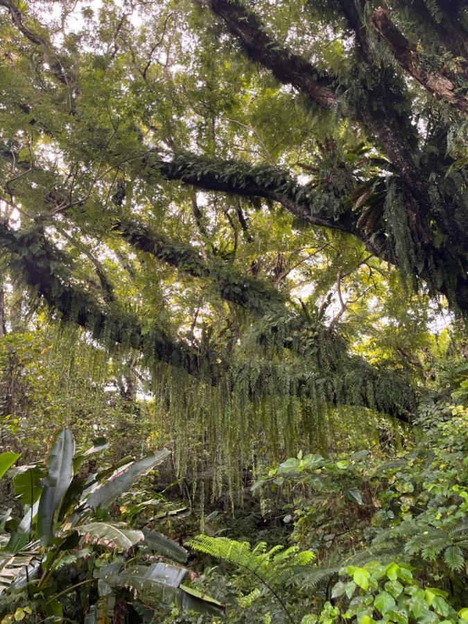 Naveria Heights Lodge - 3