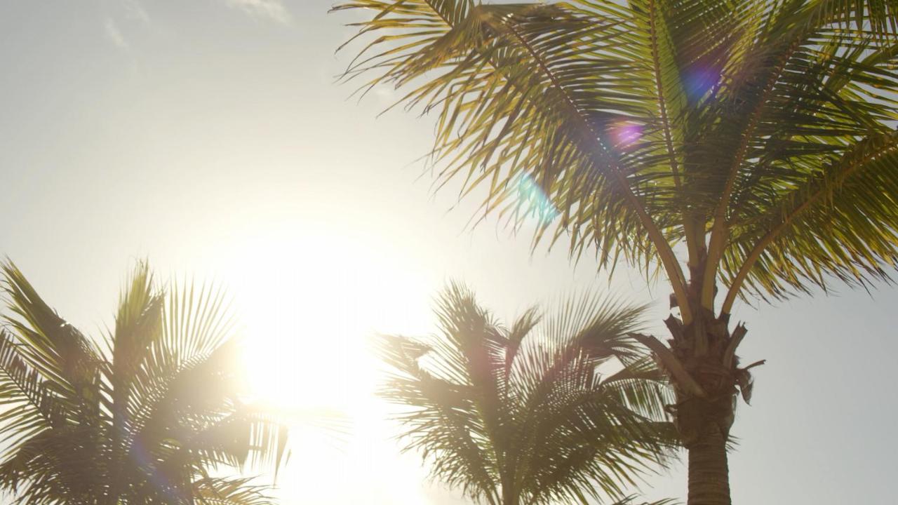 Secrets Riviera Cancún Resort & Spa - Adults Only - All inclusive photo