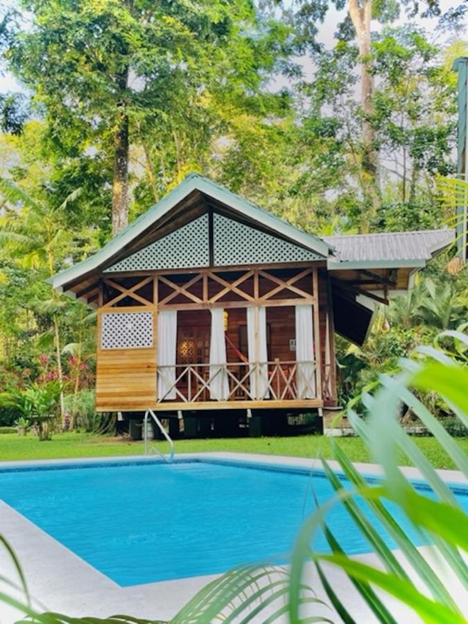 La Magia Bungalows photo