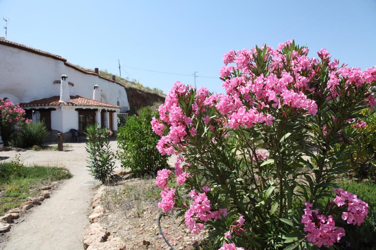 Cuevas Del Zenete, Alcudia de Guadix – Bijgewerkte prijzen 2022