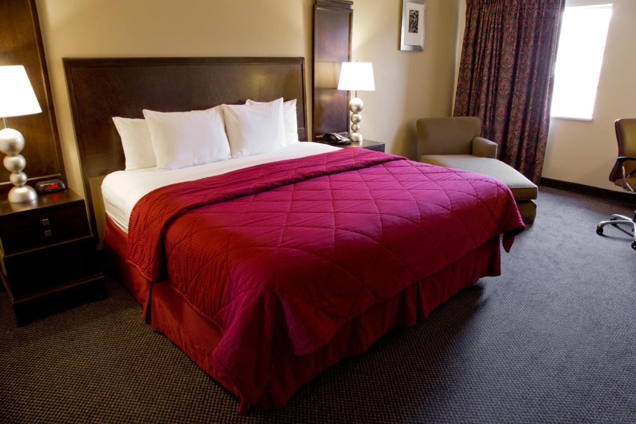 Cedars Inn — photo 18