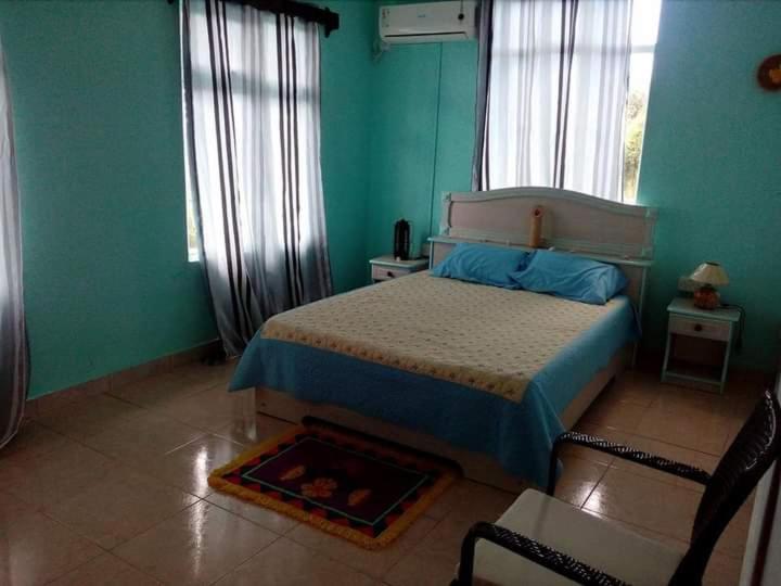 Sur la route des tortues - 2