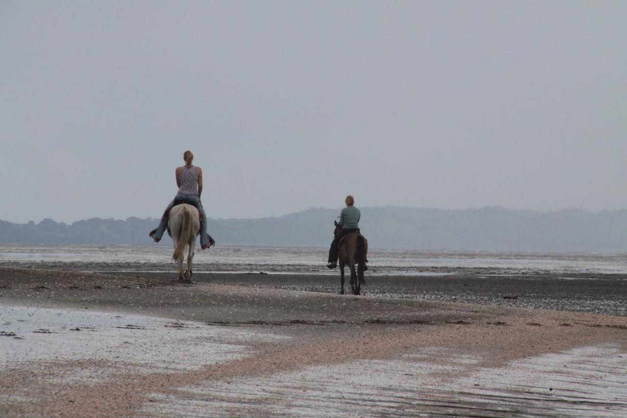 Beach: Bliss Beach Panama