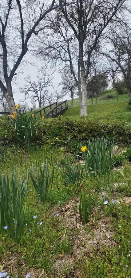 Sequoia Resort — photo 17