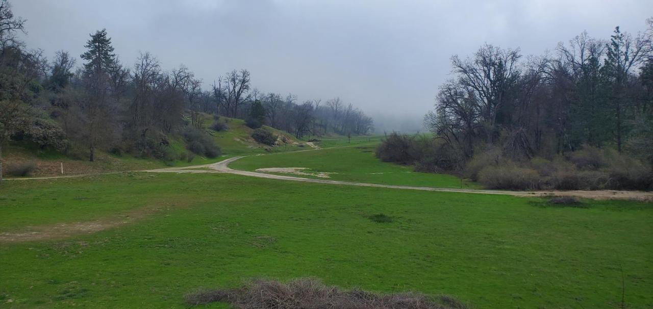 Sequoia Resort — photo 12
