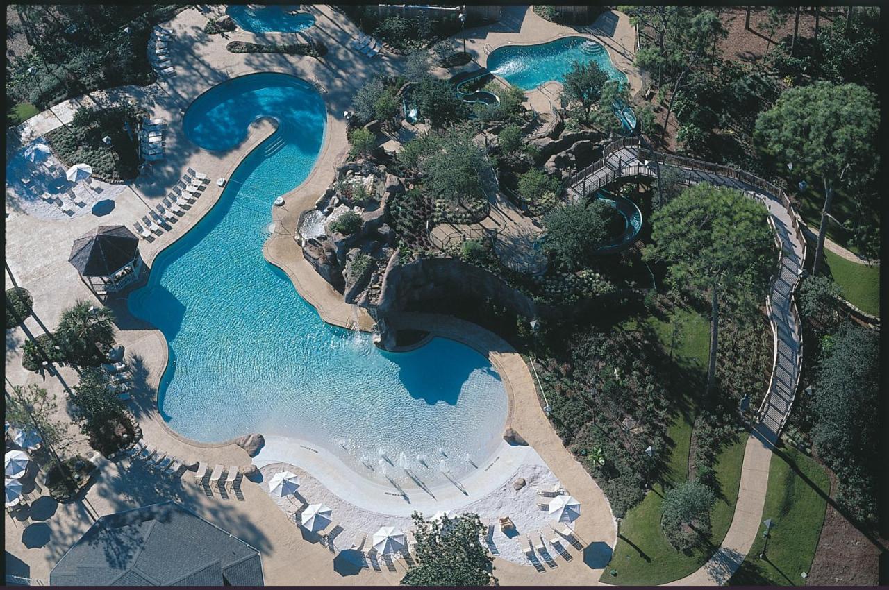 Heated swimming pool: Innisbrook, A Salamander Golf & Spa Resort