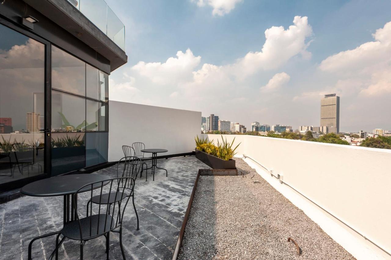 Darwin 74 by Wynwood House