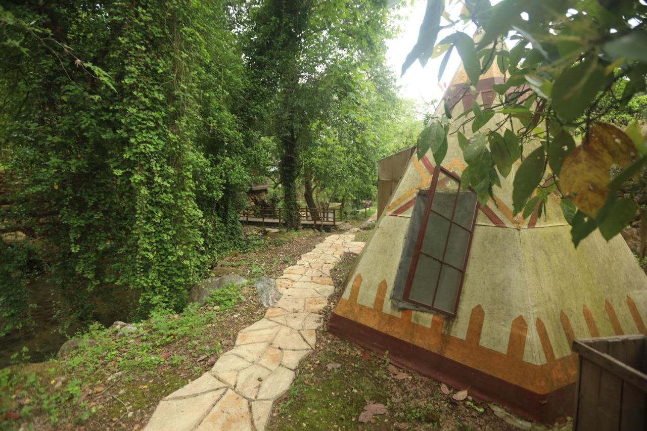 Nomads Nature & Nurture photo