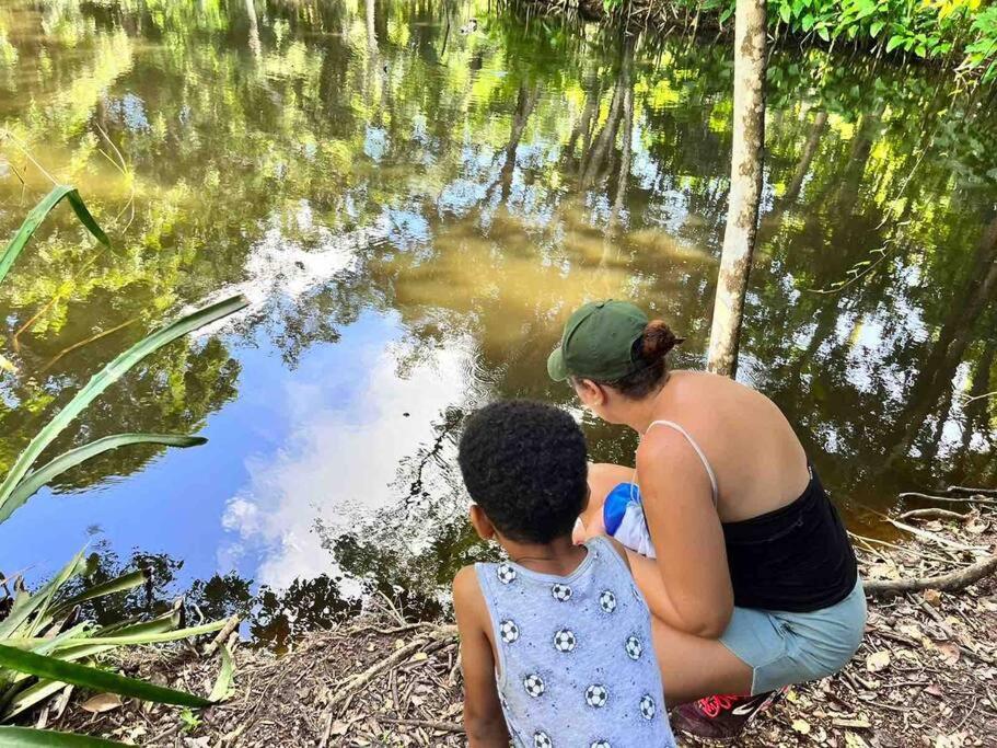 Villa Salako, Terre-de-Bas - Bas de Villa - 4