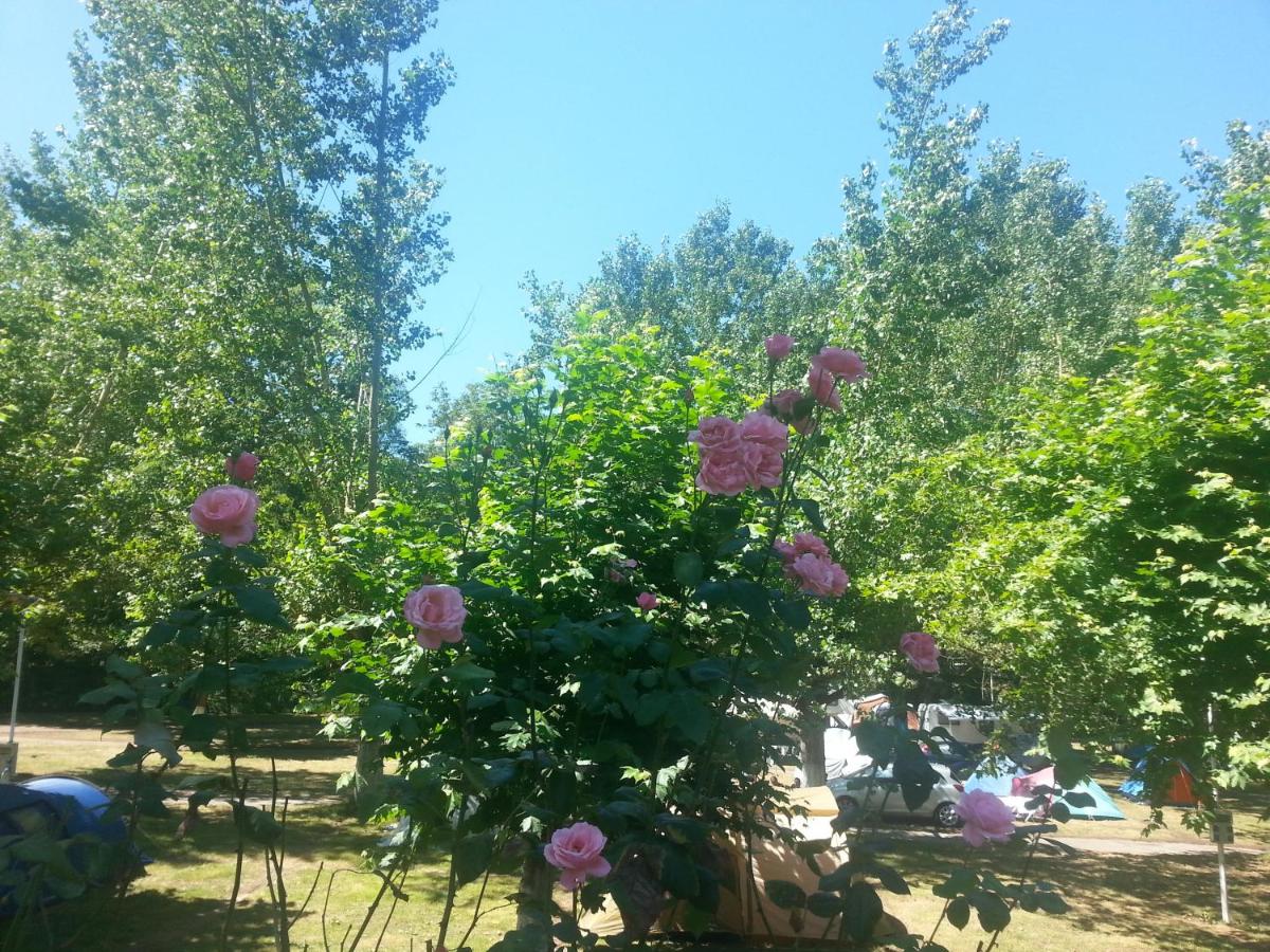 Camping Covadonga, Soto de Cangas, Spain - Booking.com