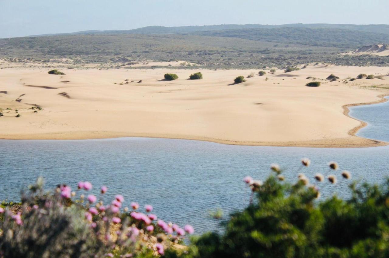 The Lighthouse Hostel Arrifana - 2