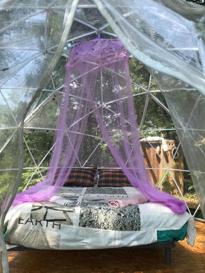 Bulle en Nature Landaise