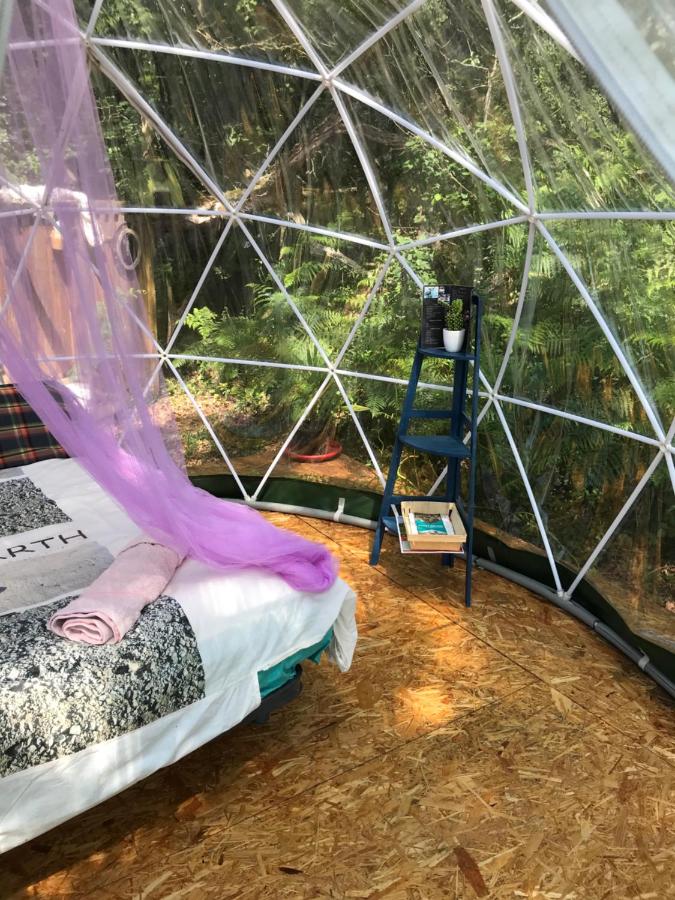 Bulle en Nature Landaise