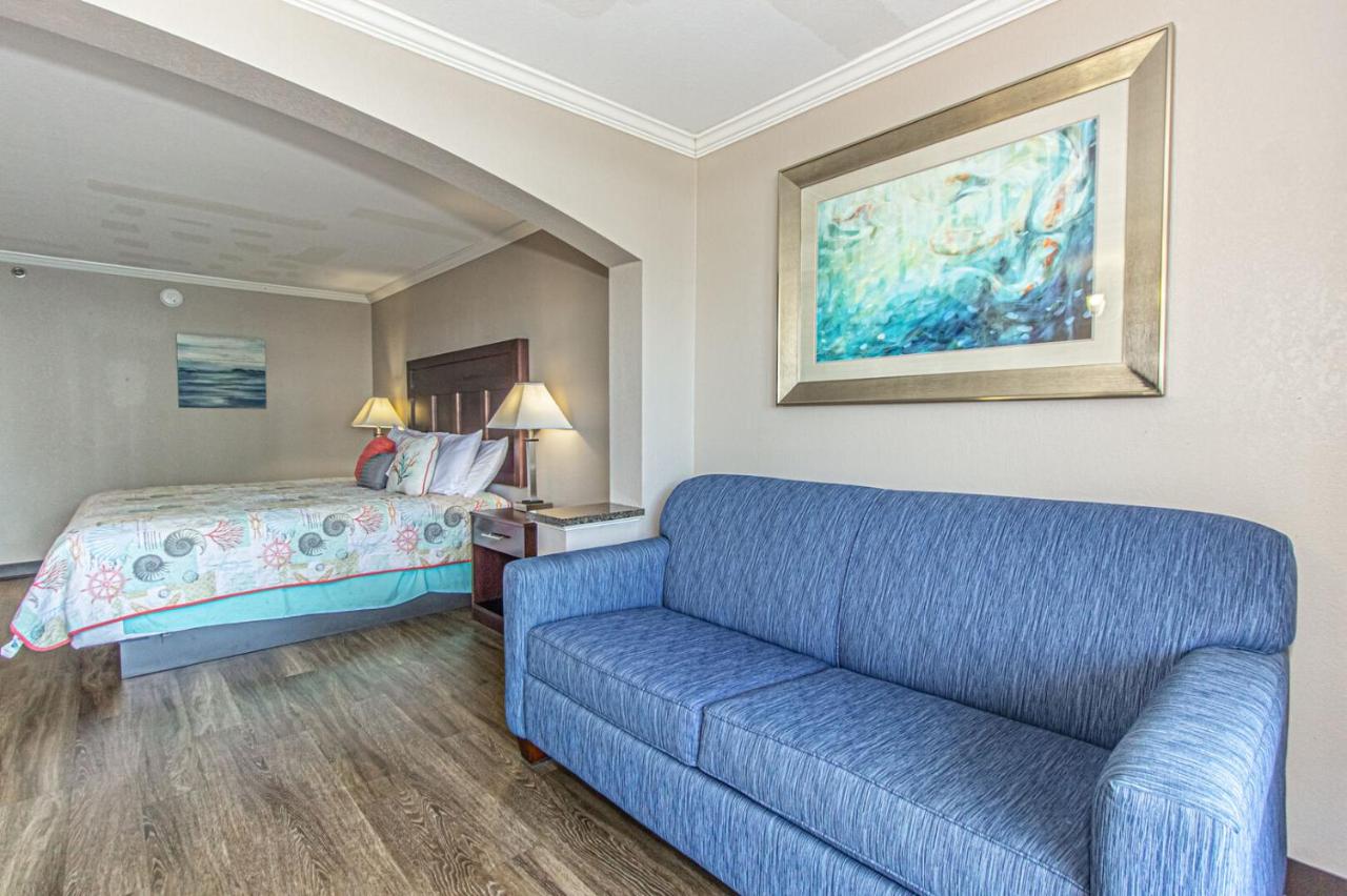 Ocean View King Suite with Modern Decor and Accents - Caravelle Resort 605 Sleeps 4 Guests