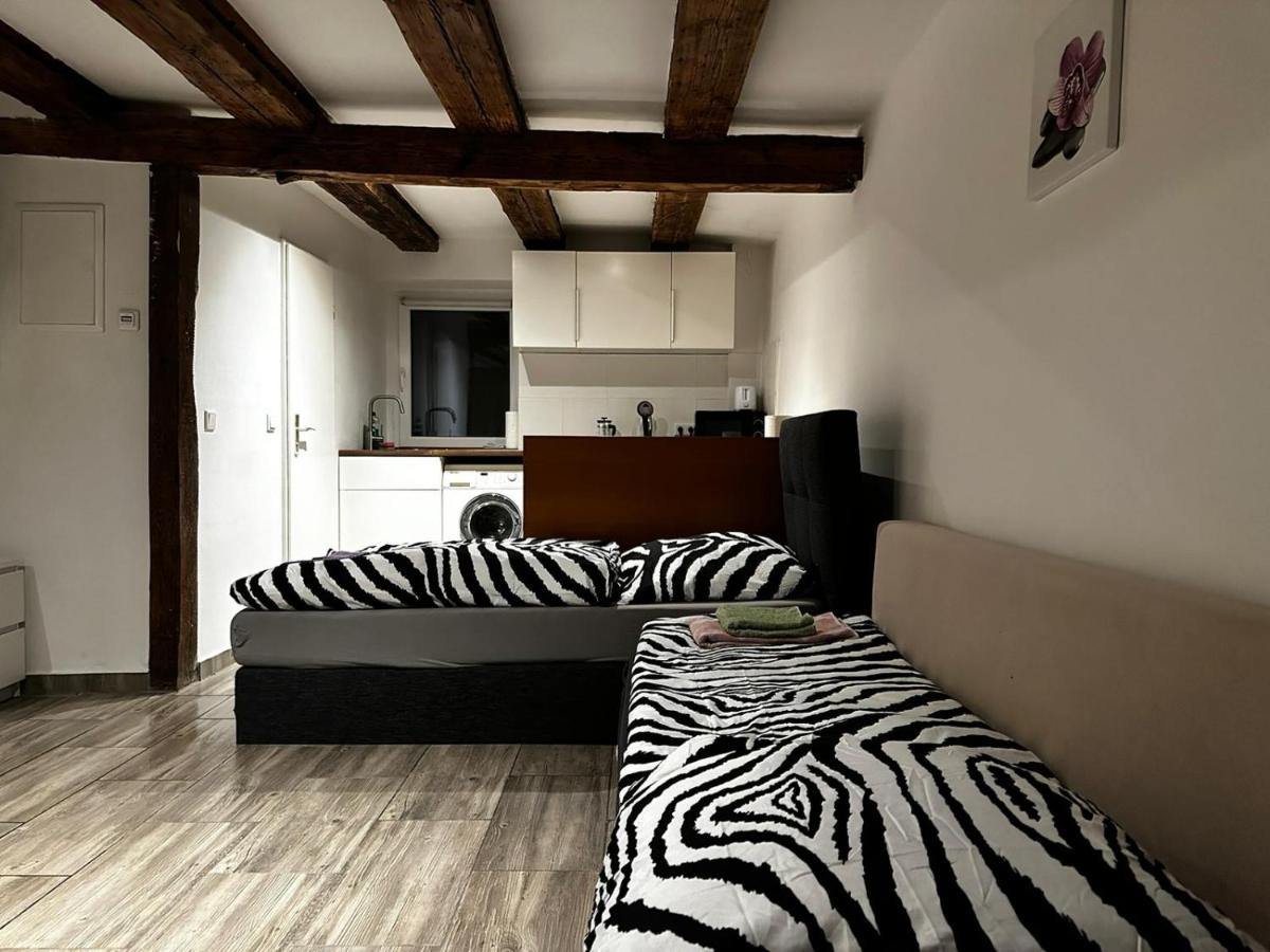 Nice studio in Pankow - 2