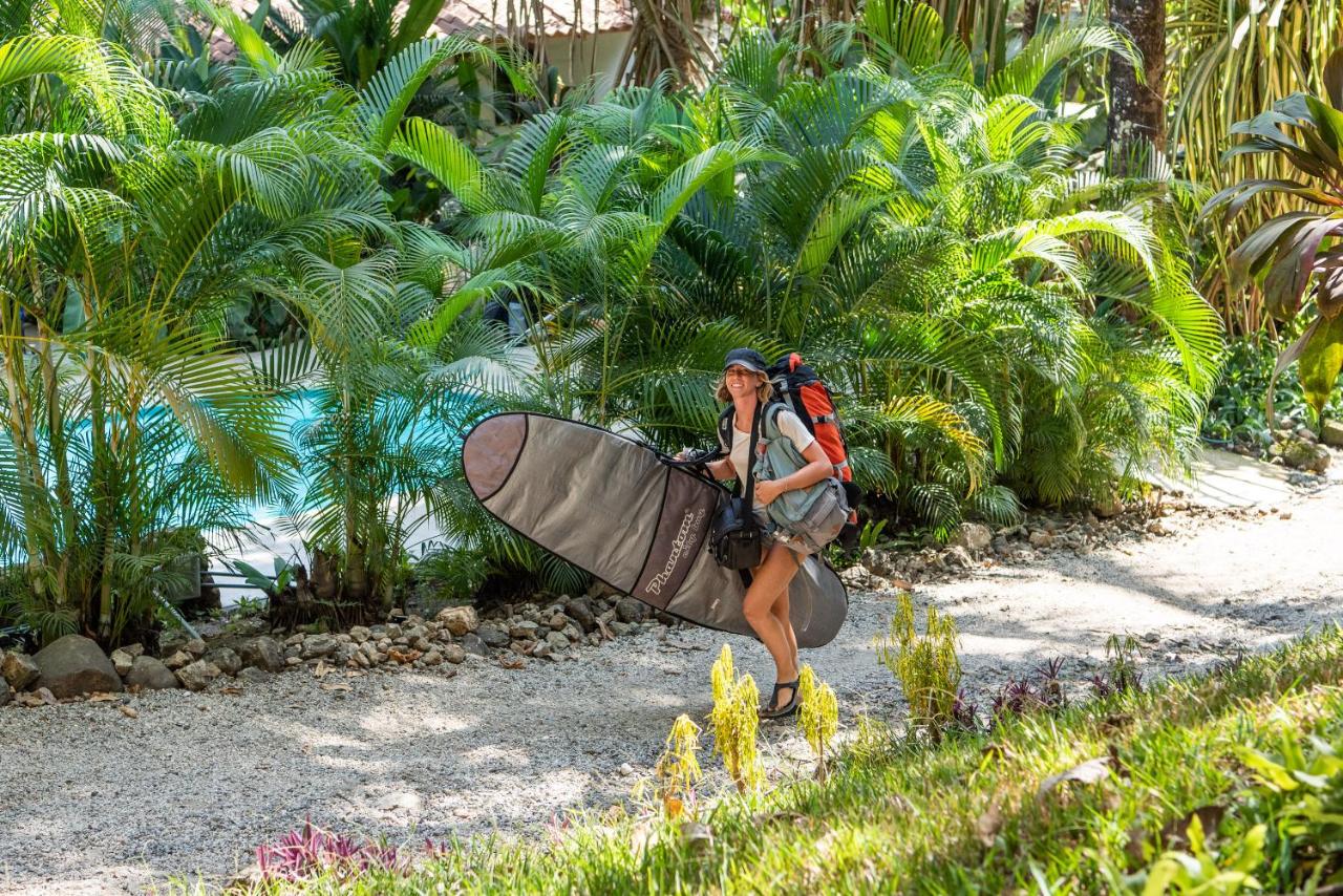 Believe Surf & Yoga Lodge Santa Teresa photo