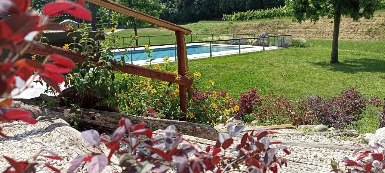 Le Vigne di Adamo photo
