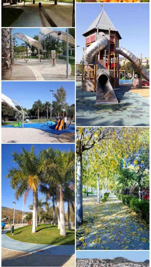 Las Tres Macetas - 5