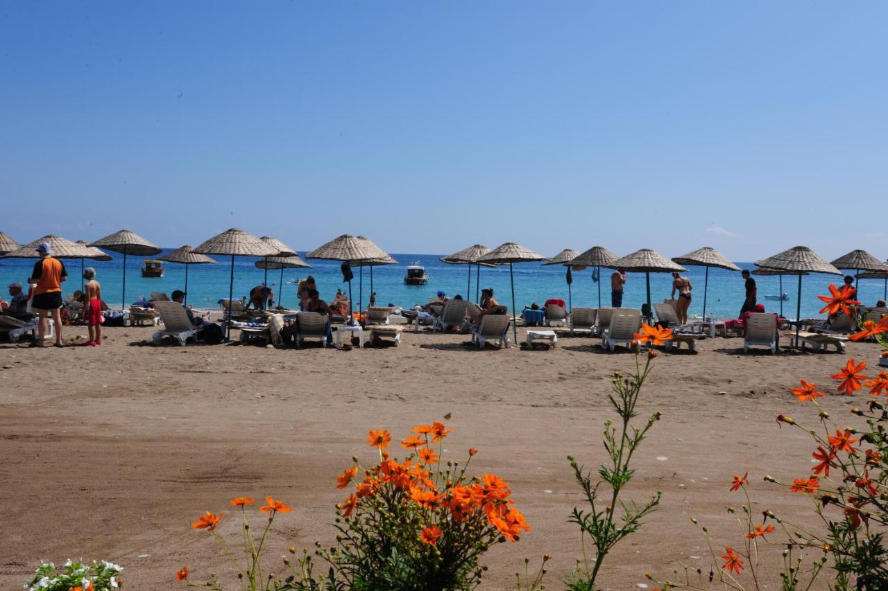 Beach: Aida Hotel