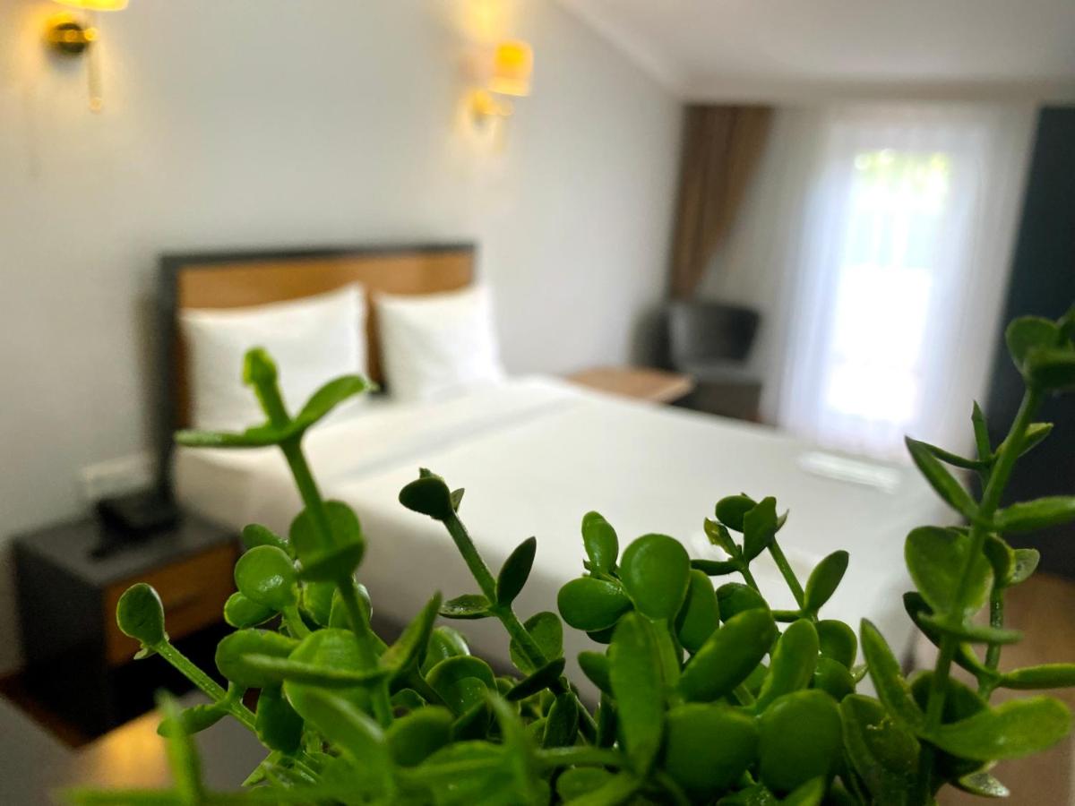 Double Room with Terrace