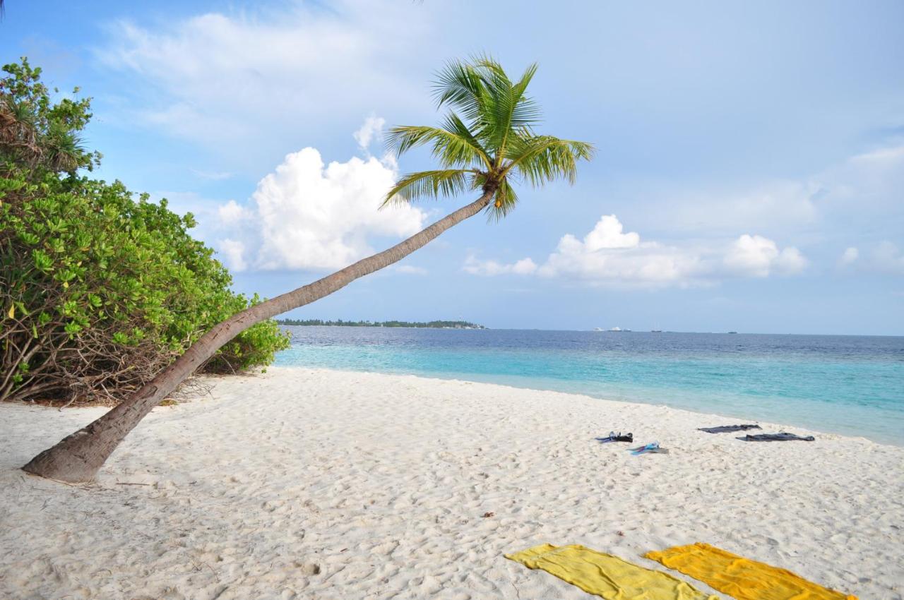 Summer Villa Guest House - 5