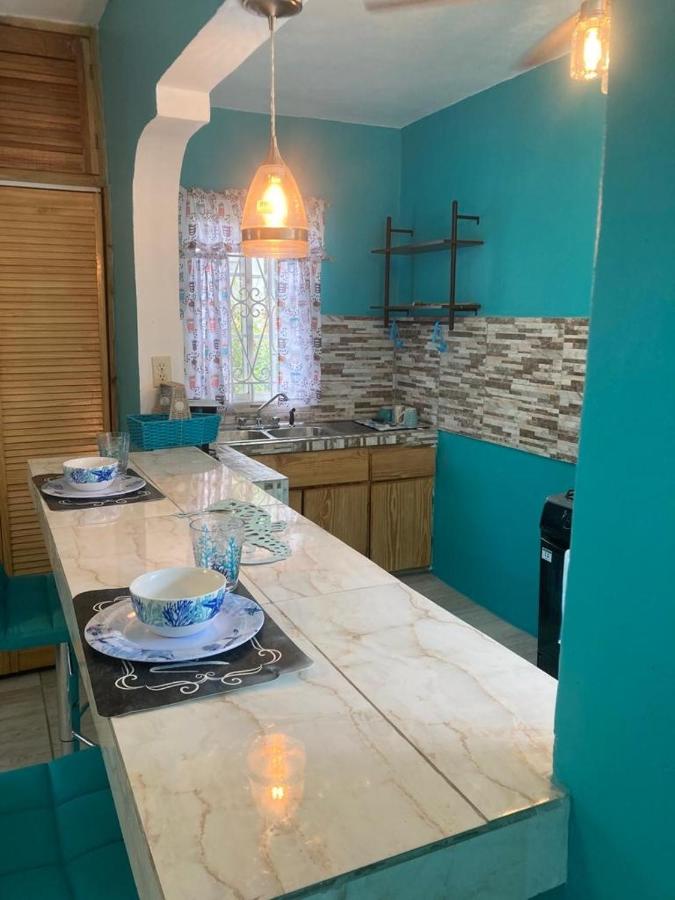 YanceyLargo Estate - Newly Built Modern 1 Bedroom Suite villa - 3