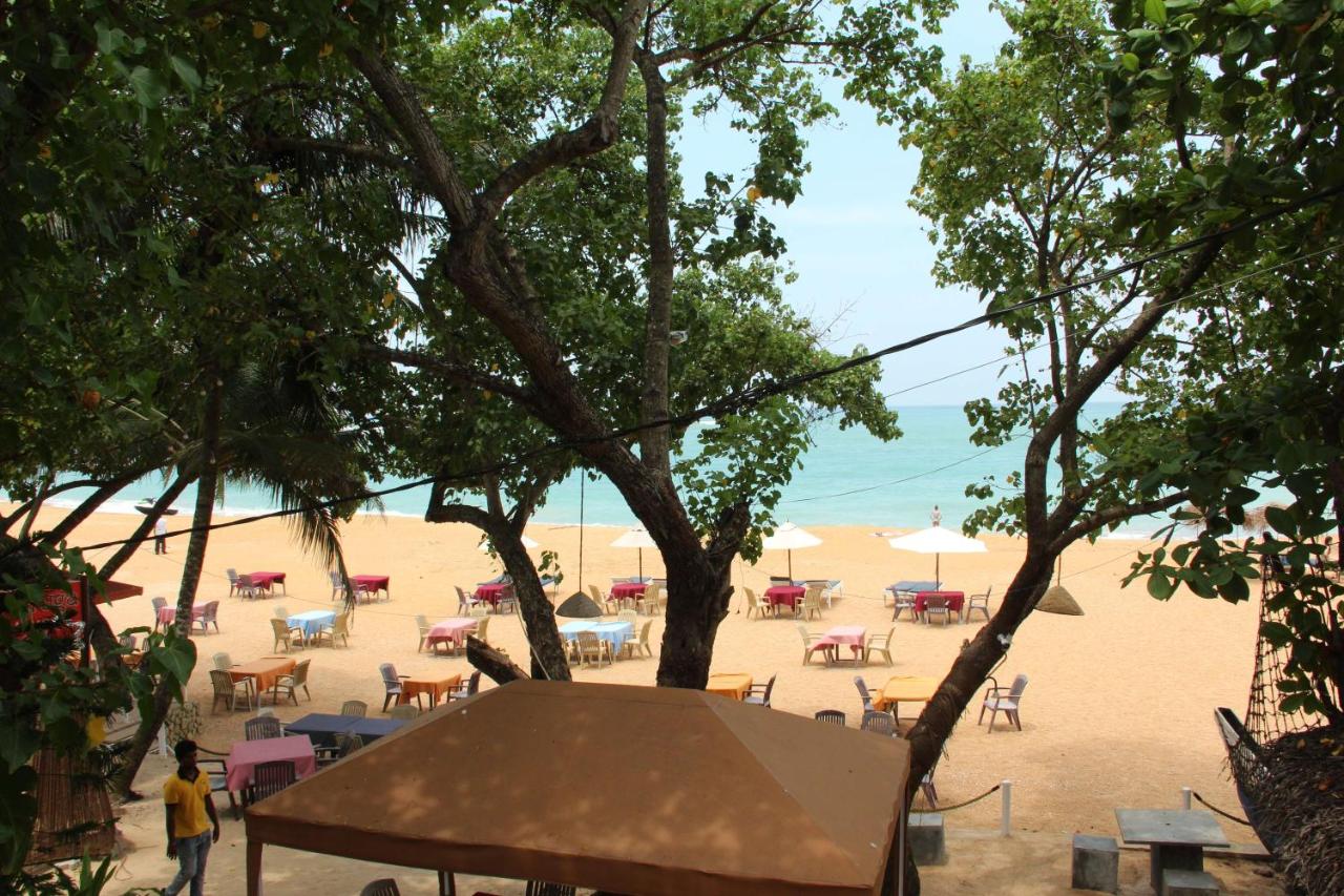Image: Tartaruga Hotel