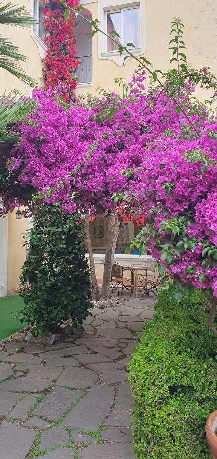 Hotel Mediterraneo photo