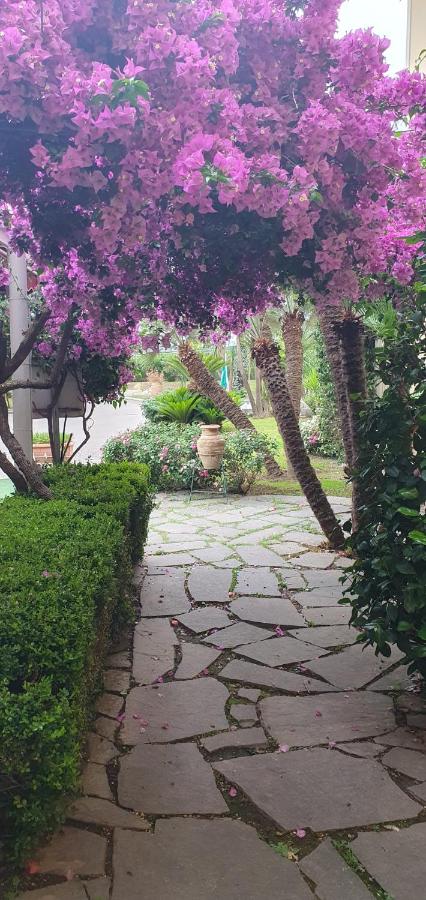 Hotel Mediterraneo photo