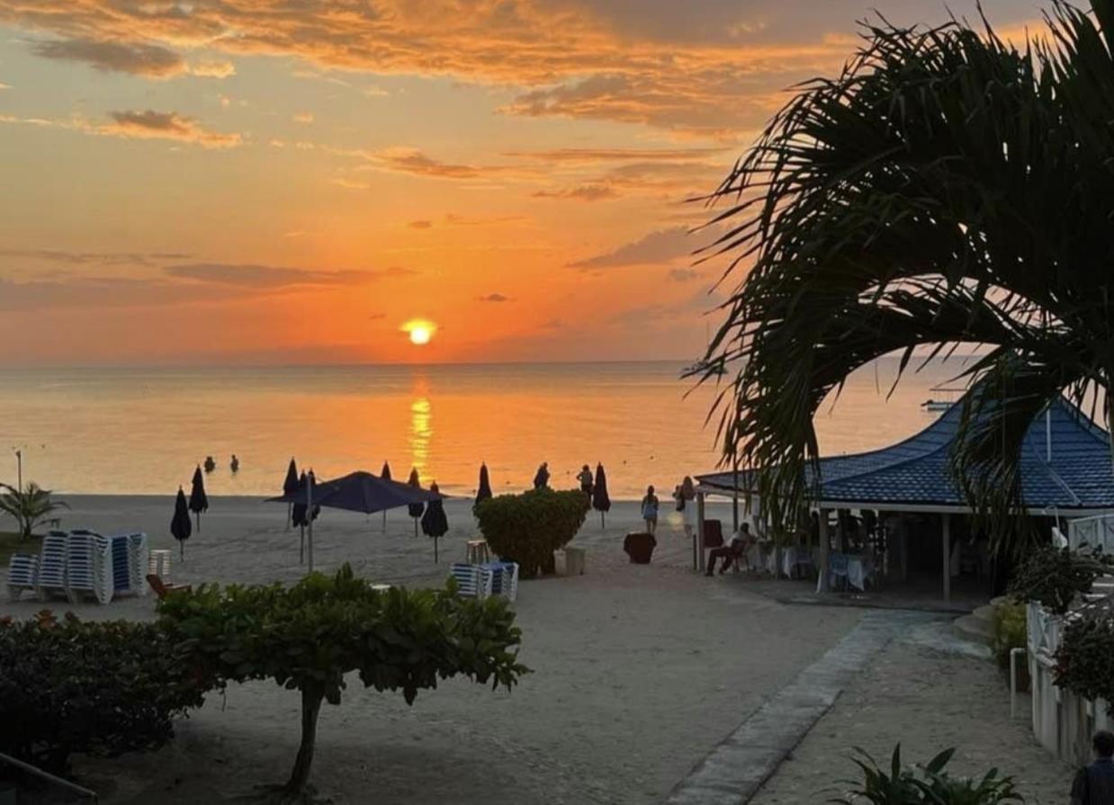 Seacret Studios - Cozy Jamaican Retreat apts - 3