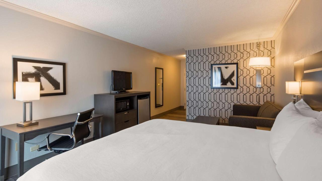 Super Stay Plus — photo 15