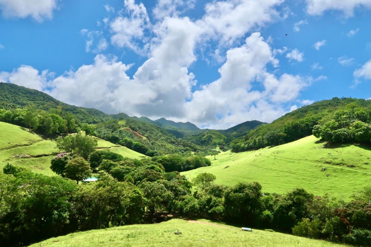 Ferney Nature Lodge - 2