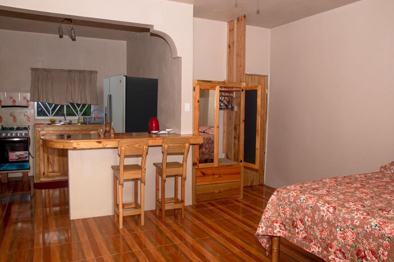 Seacret Studios - Cozy Jamaican Retreat apts - 2