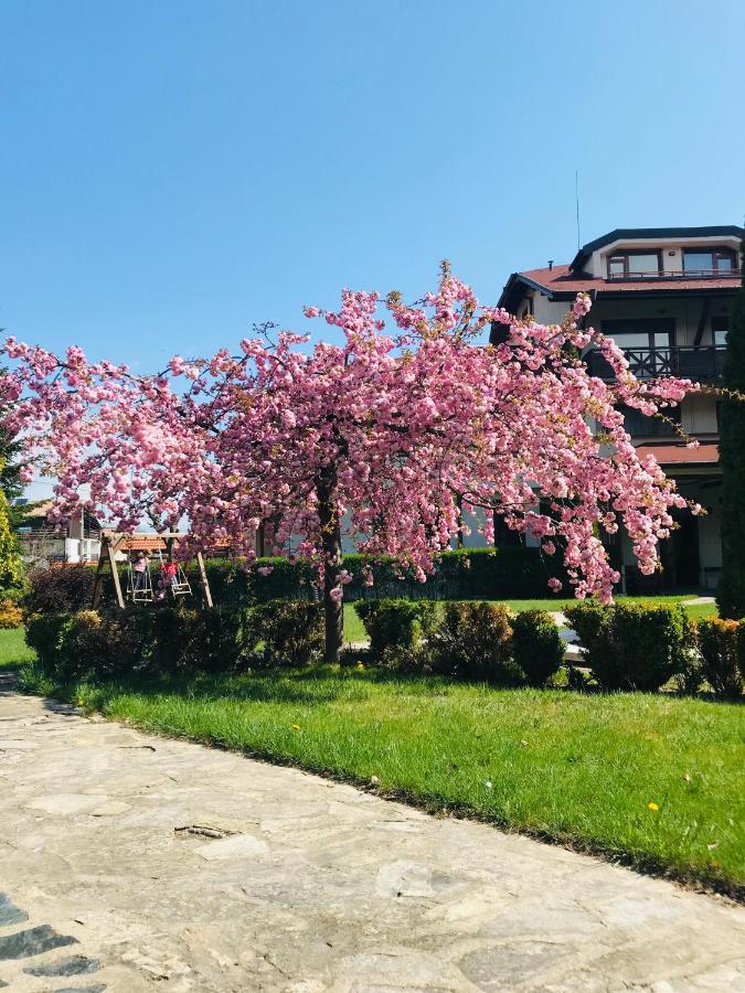 Evelina Palace Hotel photo
