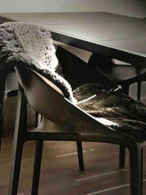 Design Apartment - Wohnen mit Stil und Komfort