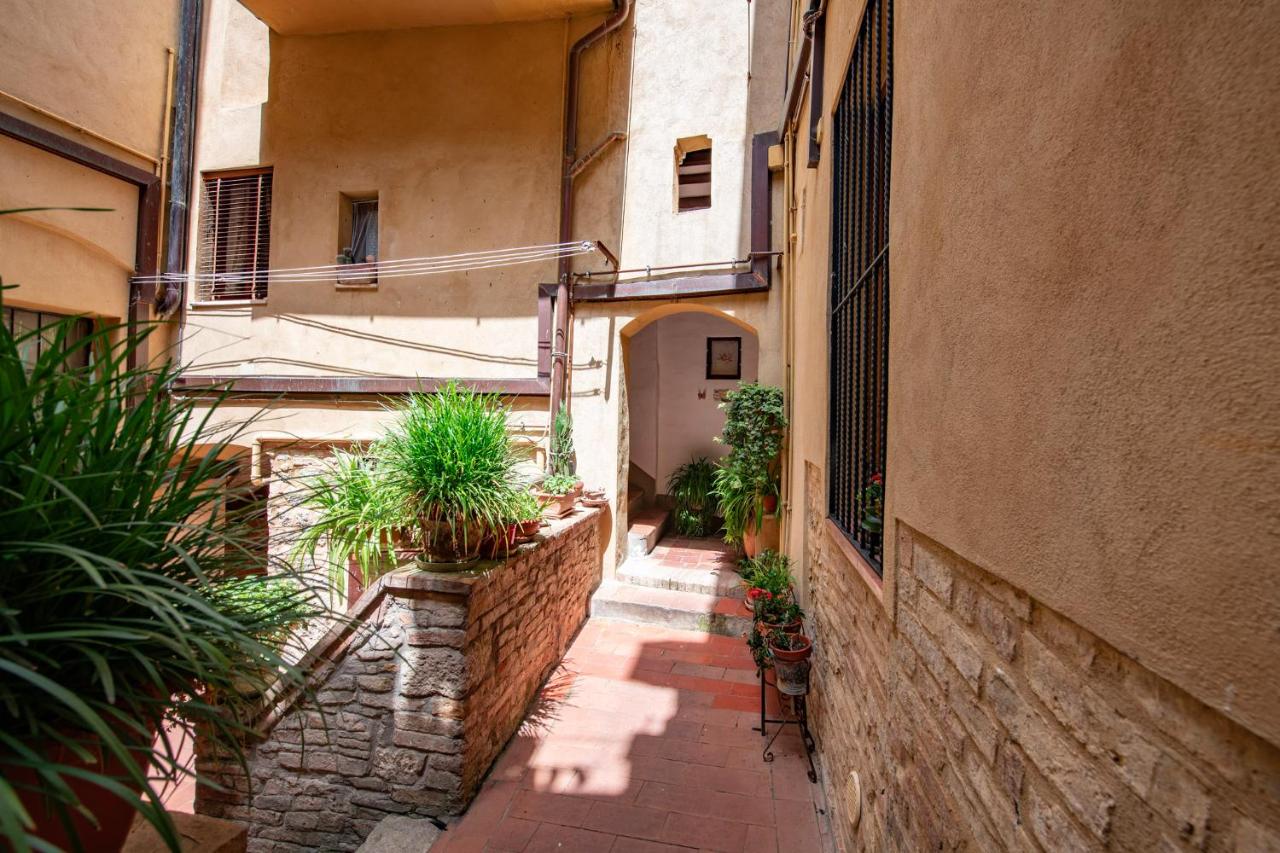 The secret nest in San Gimignano - 5