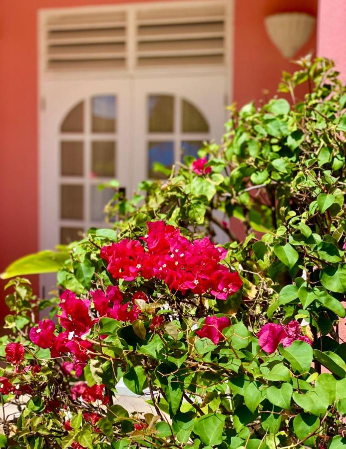 Dover Beach Hotel photo