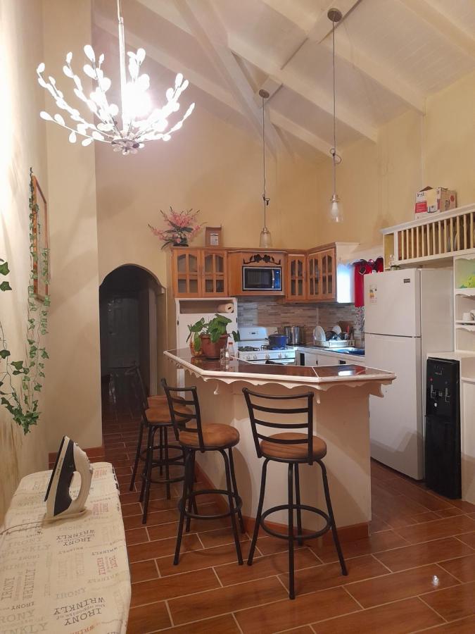 Alexander's Apartment Carriacou - 2