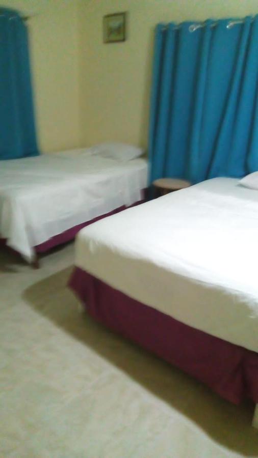 Alexander's Apartment Carriacou - 3